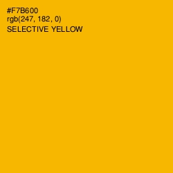 #F7B600 - Selective Yellow Color Image